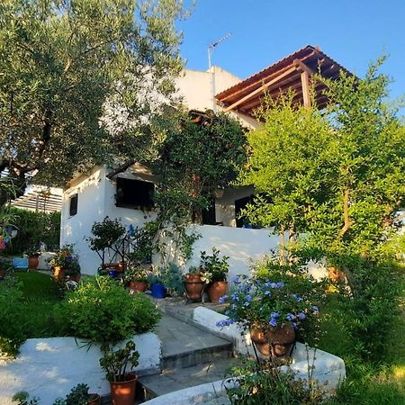 Villa Sonia'S House With Garden à Gerakini Extérieur photo