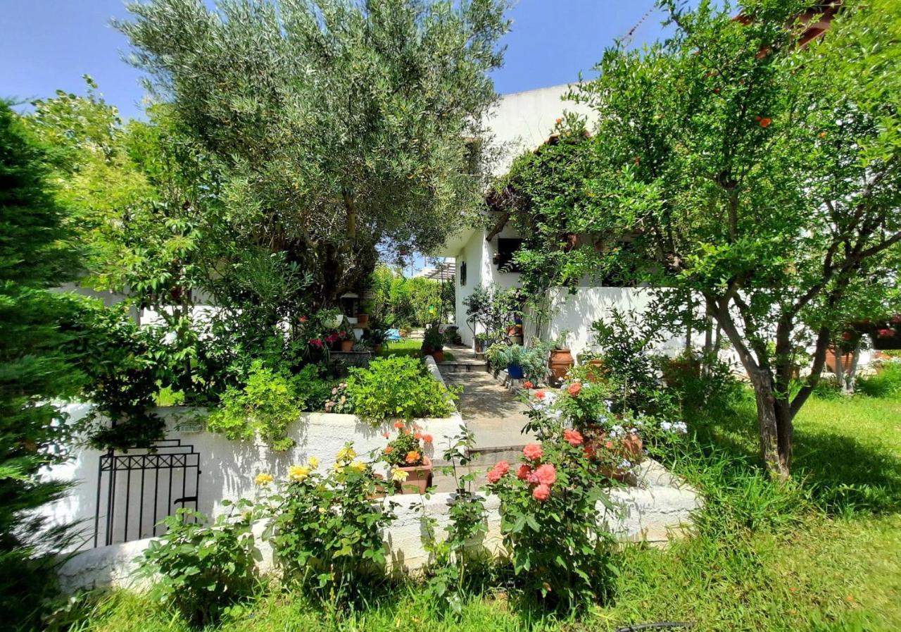 Villa Sonia'S House With Garden à Gerakini Extérieur photo
