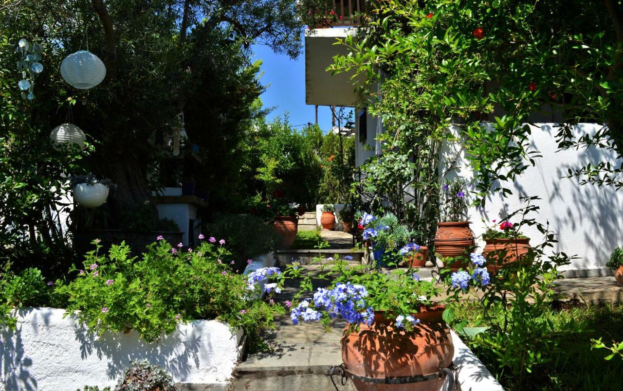 Villa Sonia'S House With Garden à Gerakini Extérieur photo