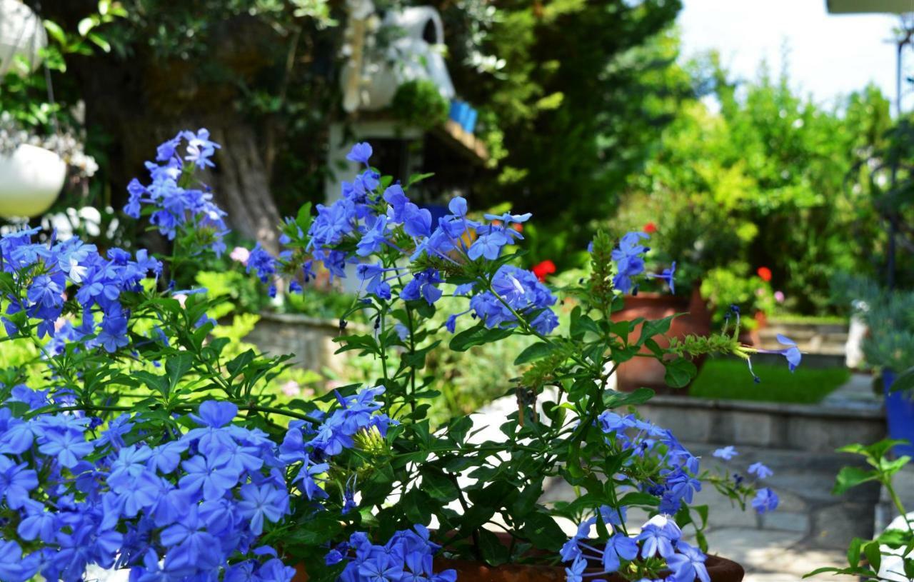 Villa Sonia'S House With Garden à Gerakini Extérieur photo